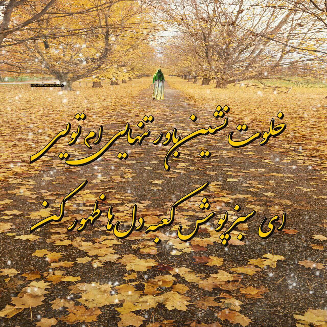 سبز پوش کعبه دلها